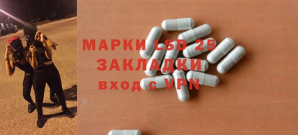 ПСИЛОЦИБИНОВЫЕ ГРИБЫ Пересвет