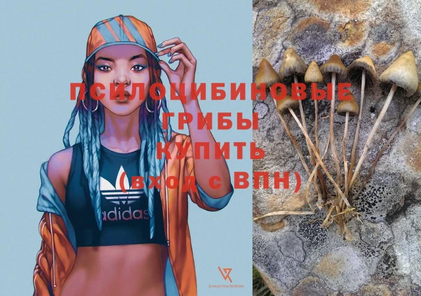 мет Баксан